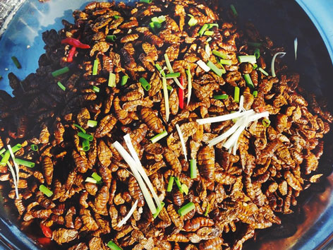 Edible bugs from a market in Cambodia
