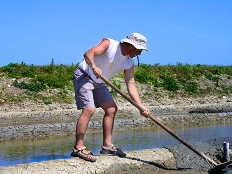 Hervé Rocheteau, Saunier, Île de Ré, France