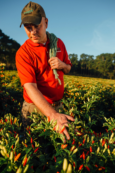 John Simmons in a tabasco pepper field