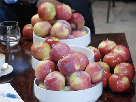 Organic apples from the Maniadakis Orchard in Quebec