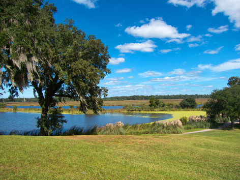 The landscape at Middleton Place in Charleston, SC