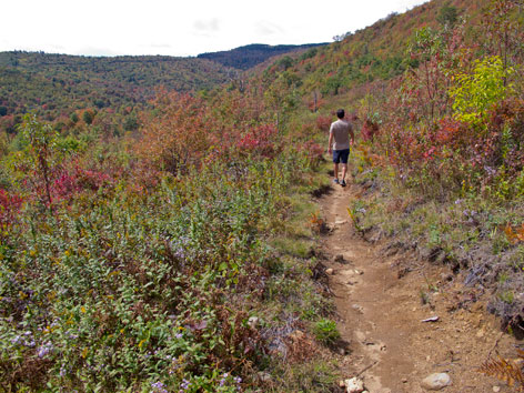 Hiking off the Blue Ridge Parkway near Asheville, North Carolina