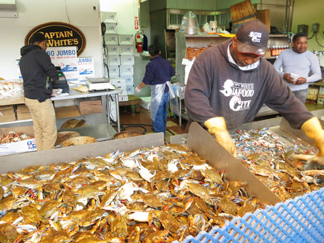 Crab counter at Maine Ave Fish Market, Washington DC