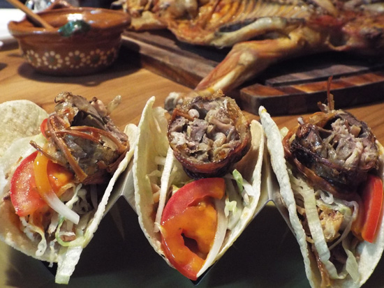 Cabrito, or goat, tacos topped with machitos, small intestines, in Monterrey, Mexico.