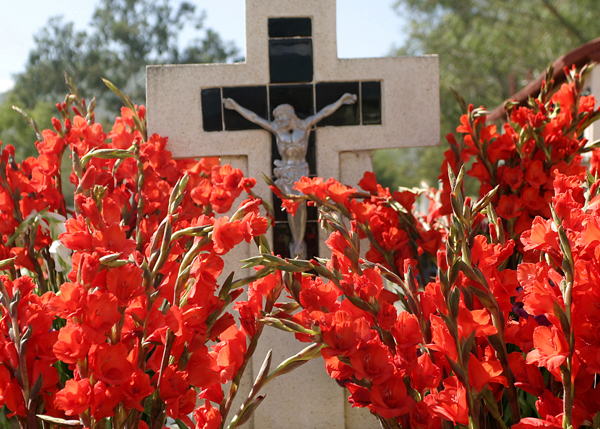 Flowers in a cemetery for the Day of the Dead, in Oaxaca