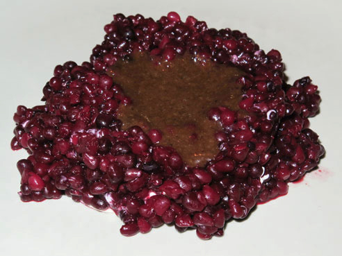 Ollebrod dessert from Geist in Copenhagen