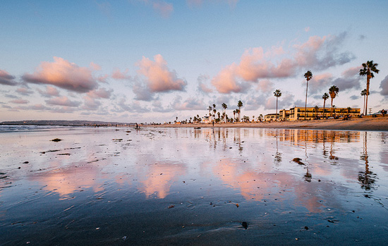 Reflections of the shoreline and palm trees at Ocean Beach, San Diego