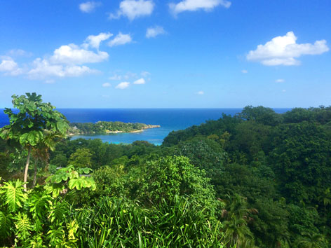 Port Antonio, Jamaica view, where the jungle meets the sea