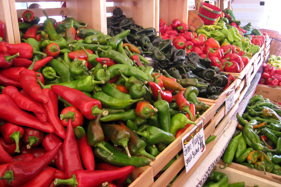 Pueblo chiles in New Mexico