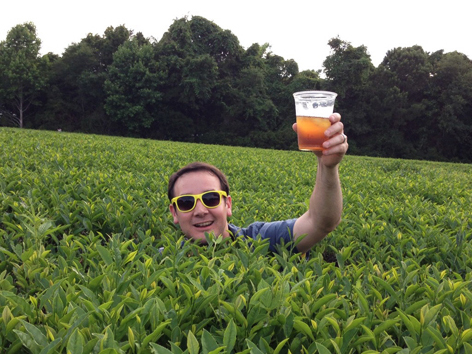 Sweet tea at a tea plantation in Charleston, SC