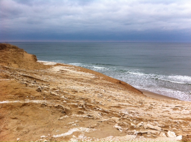 Wellfleet, Cape Cod, Massachusetts, during winter