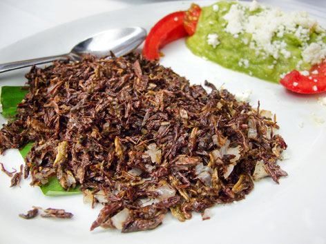 Chapulines or fried grasshoppers from Casa de la Abuela in Oaxaca, Mexico.