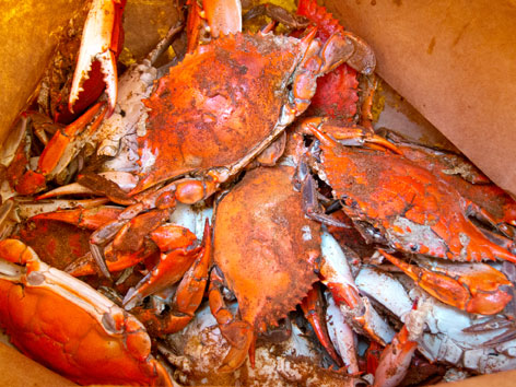 Blue Crabs from Maine Avenue Fish Market in Washington, D.C.