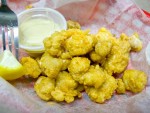 Fried alligator tail, served at Tarks restaurant in Dania Beach, Florida