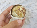 Balut duck egg from Manila, the Philippines