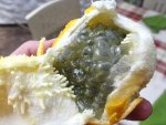 Granadilla